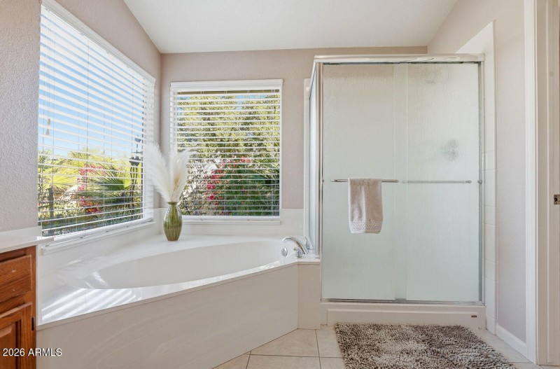 Separate Shower & Tub