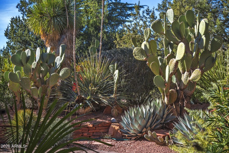 1 FRONT CACTUS GARDEN