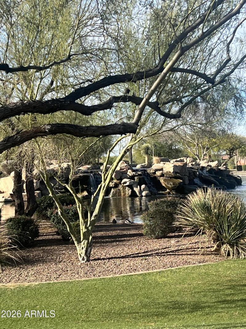 Anthem Community Park