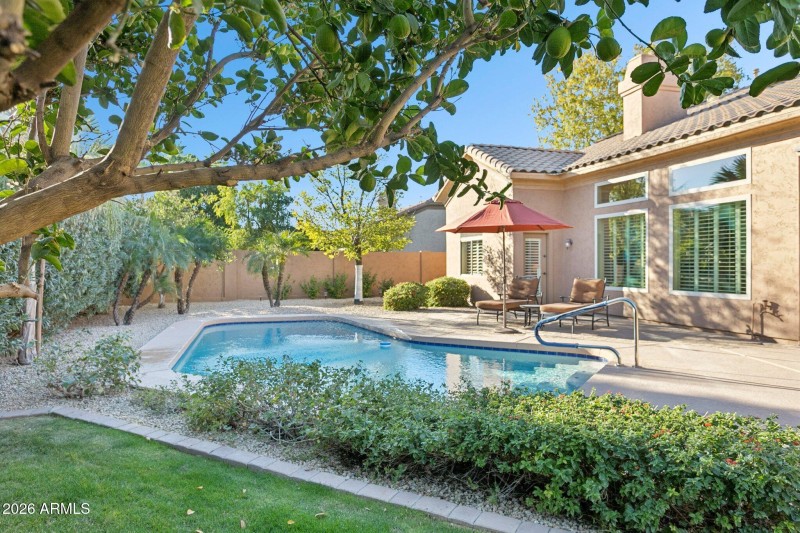 Resort Style Backyard