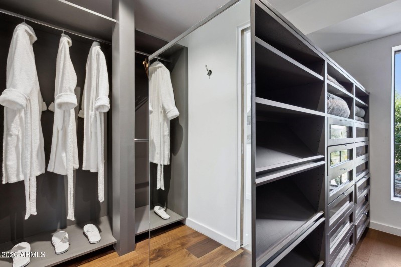 Main Level Suite Closet