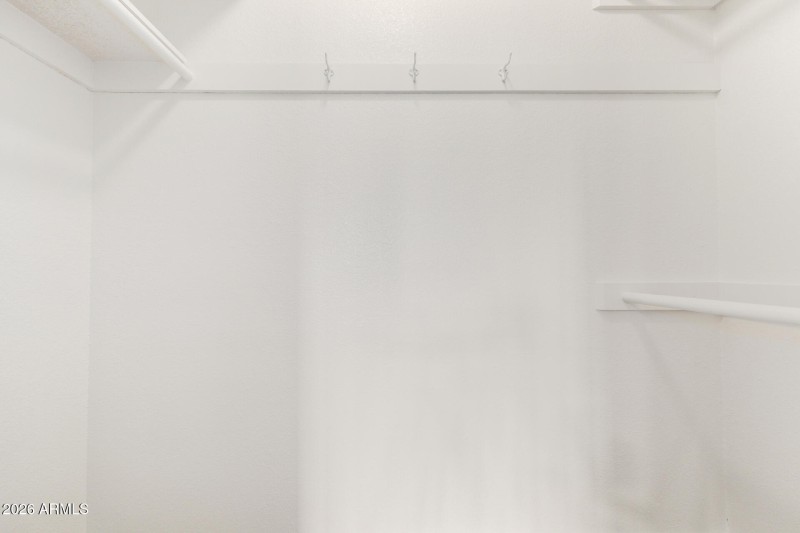 Primary Walk-in Closet