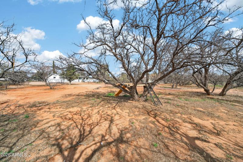 Exterior - 3344 Quail Run Dr-8