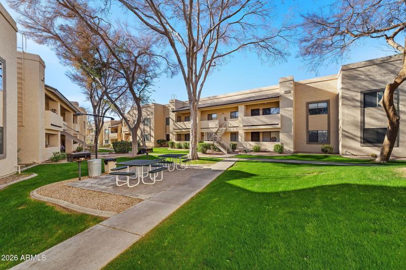 Beautiful Green Space