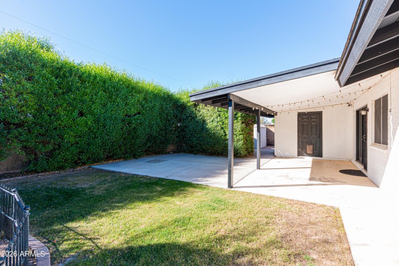 Sunny South Facing Yard