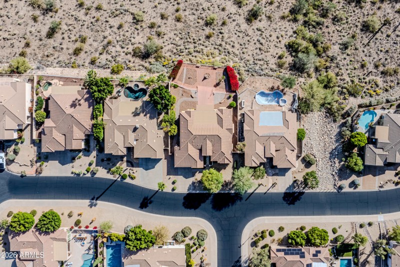 Blooming Bougainvillea!