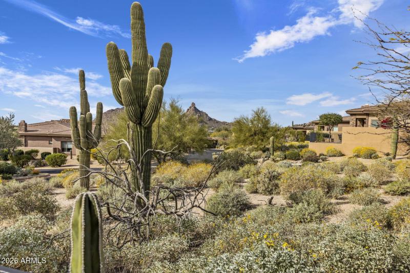 6-web-or-mls-D46A7849 (2)