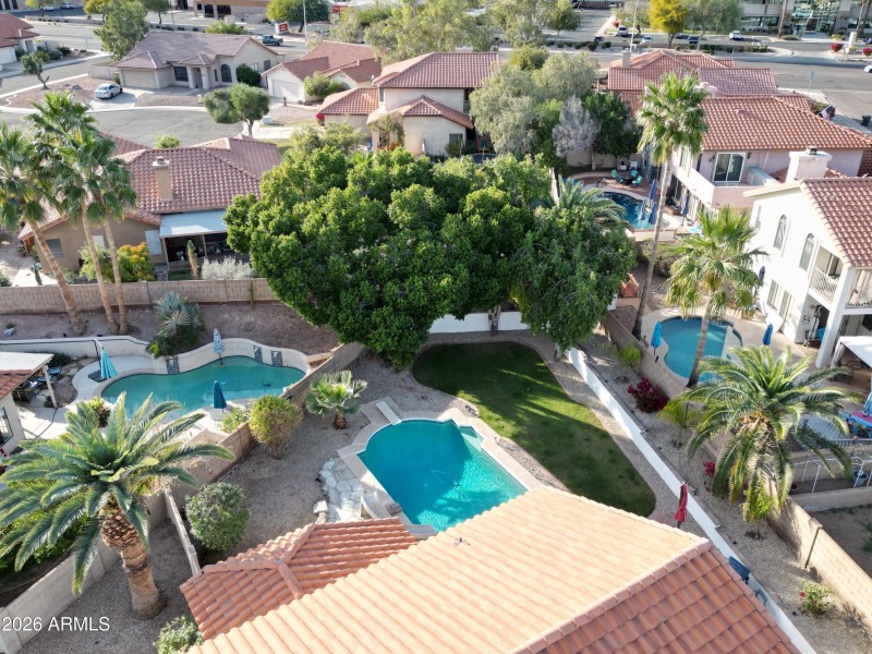 dji_fly_20260213_074958_89_1770954472684