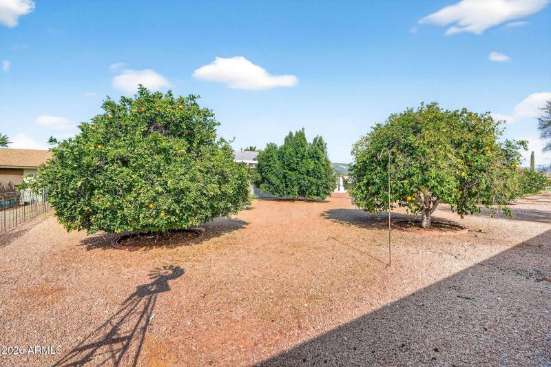 28-web-or-mls-31E Flossmoor Ave