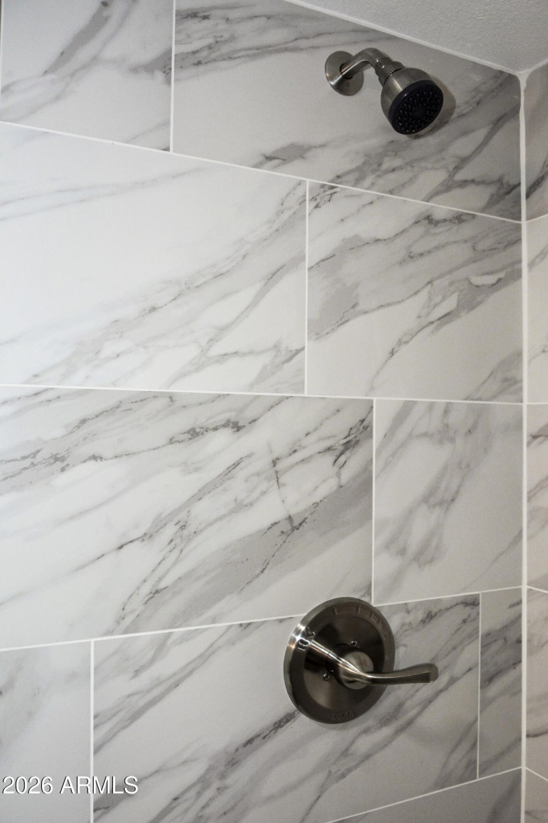 Features Primary Shower Detail