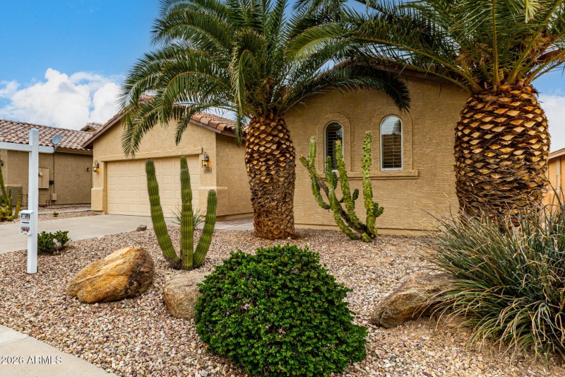 Lush Desert Landscaping