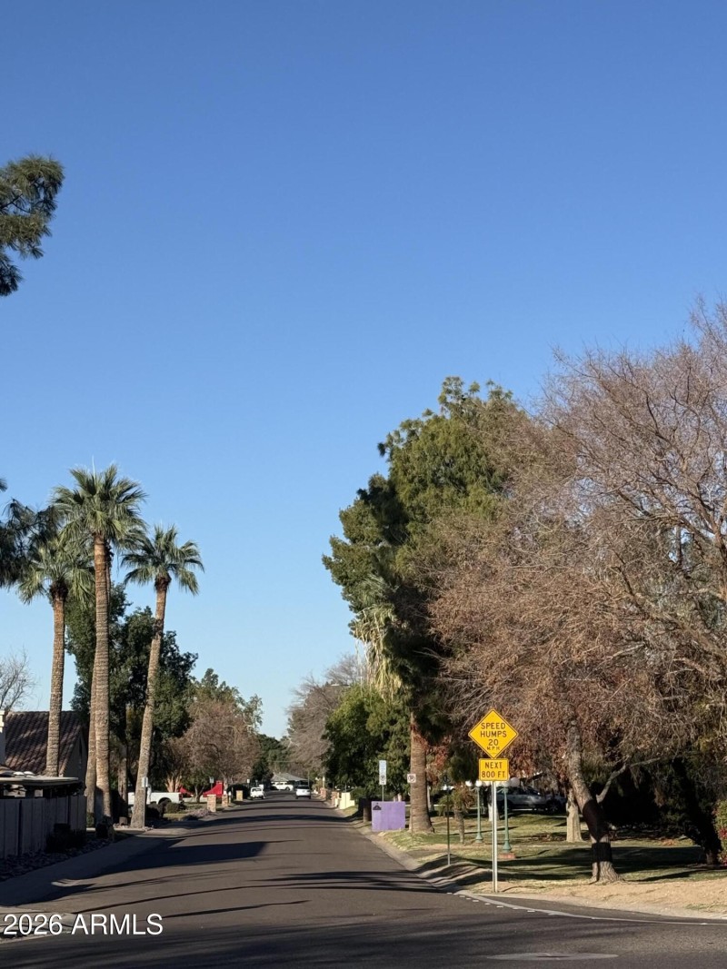 Tree Lined Streets