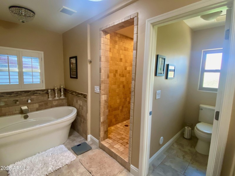 Master Bath 2