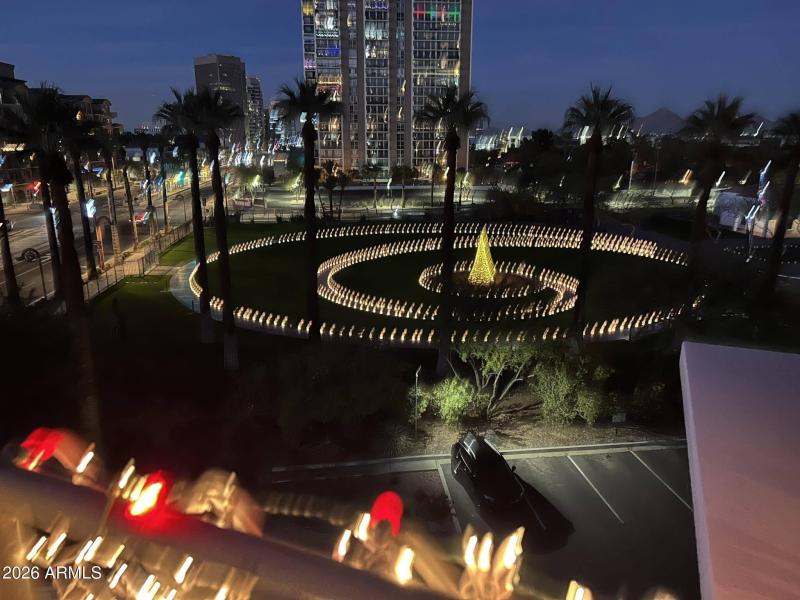 Holiday Views of the Heard