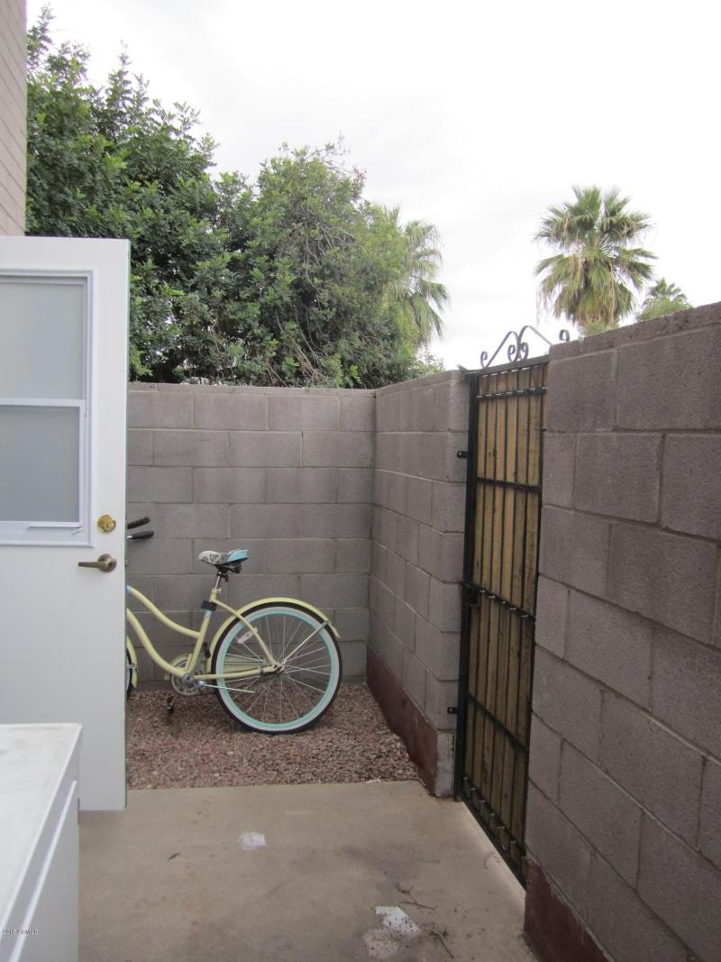 Patio and Patio Door