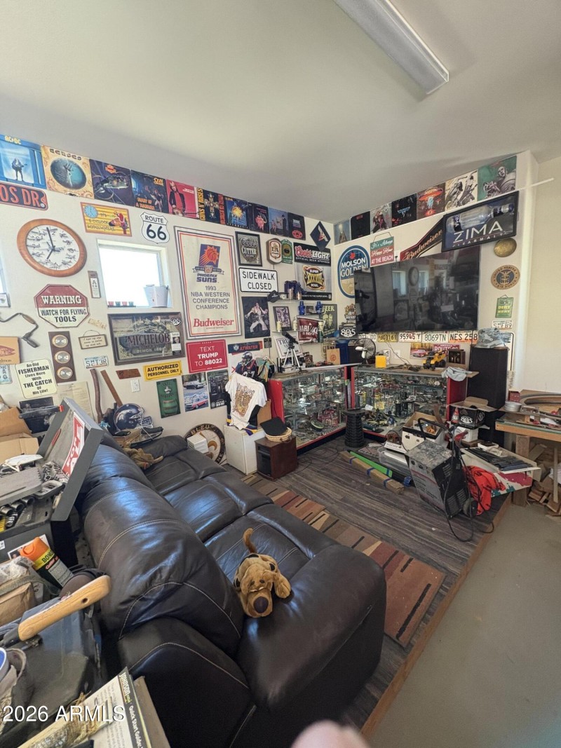 Man Cave in Garage