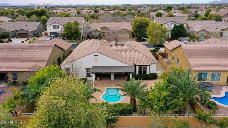 Large Mature Backyard