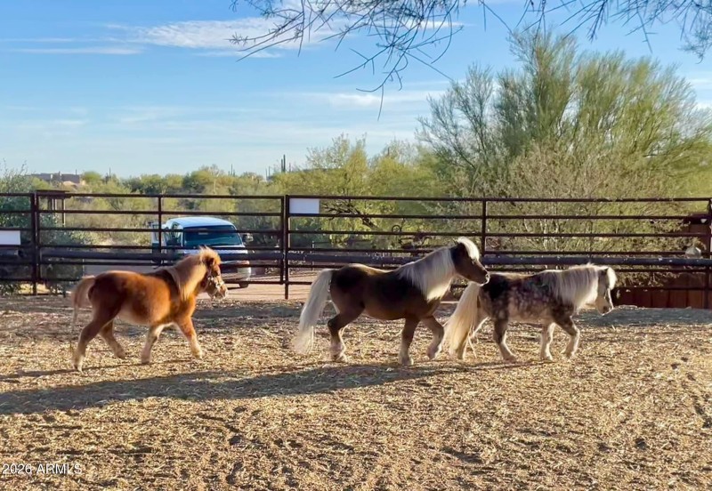 Great Horse Property