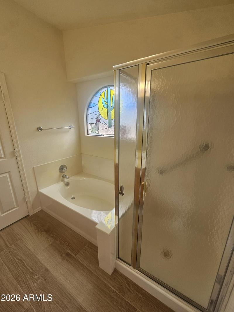 Primary Tub and Shower