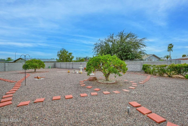 Backyard-Citrus Trees