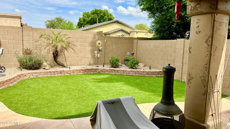 Turf Backyard