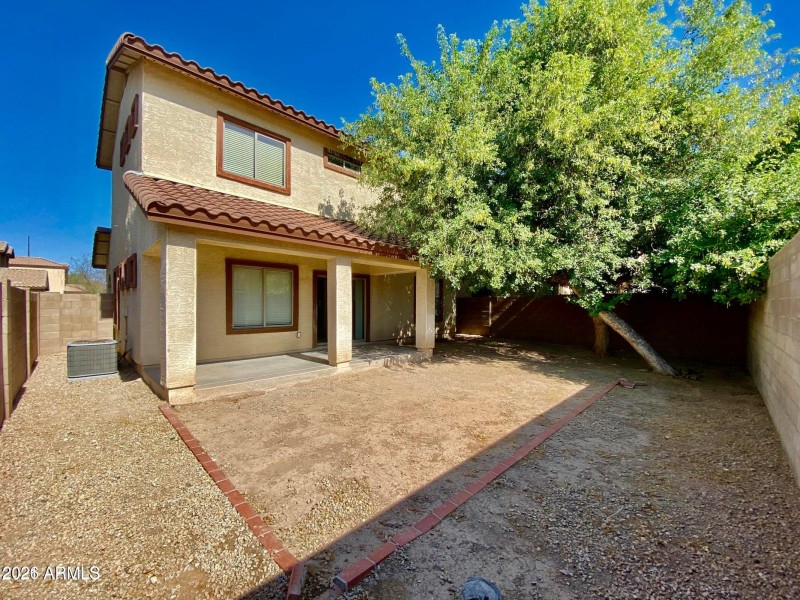 Backyard Patio with Shade Tree
