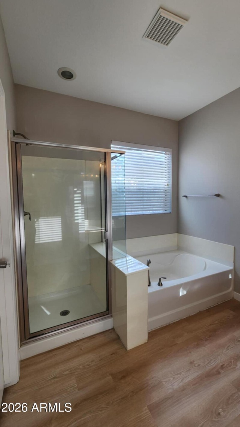 41393 W Capistrano Dr