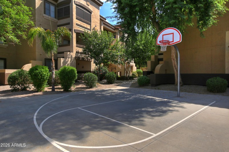 Basketball Court