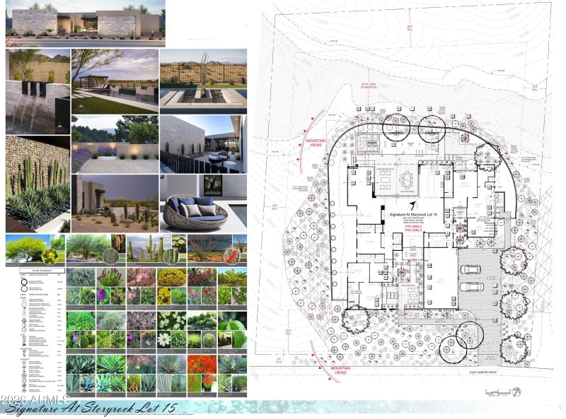 Lot 15 SSR Sketch - Landscaping copy