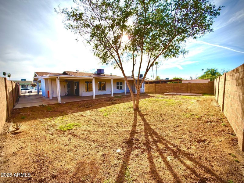 WhatsApp Image 2026-02-20 at 18.53.02