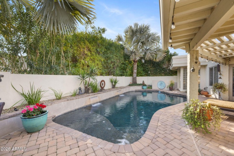 Very peaceful backyard