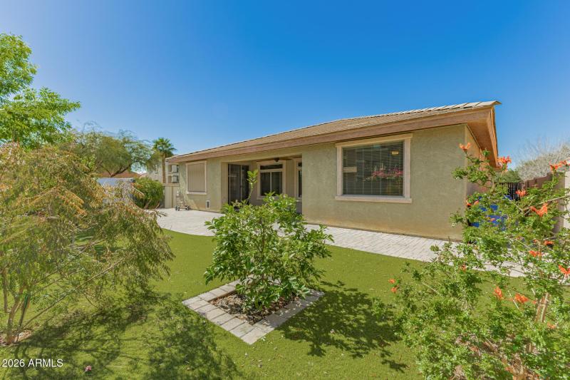 Artificial Turf for Low maintenance