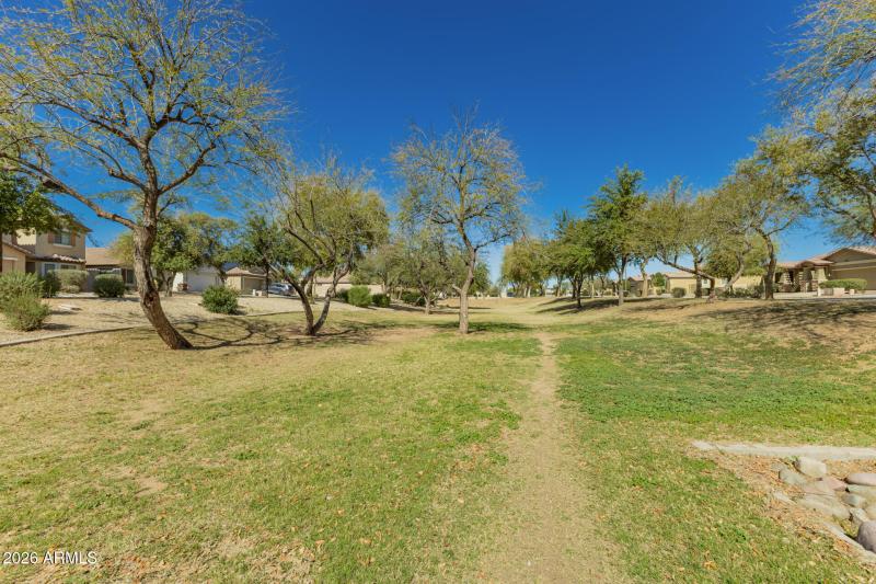 Green space directly across the Streeet