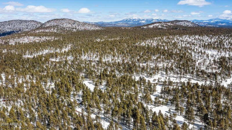 2175 S Eagle Creek Ln Williams-6