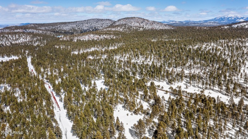 2175 S Eagle Creek Ln Williams-7