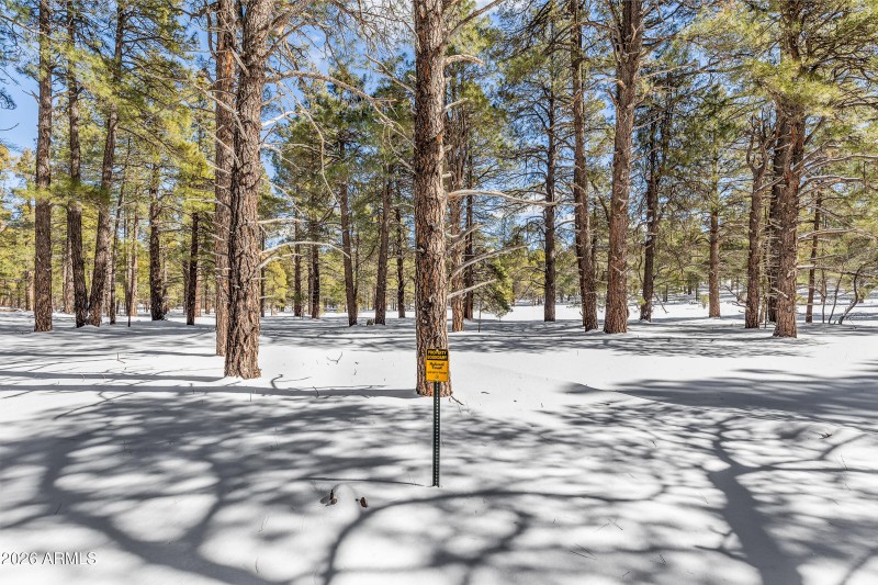 2175 S Eagle Creek Ln Williams-42