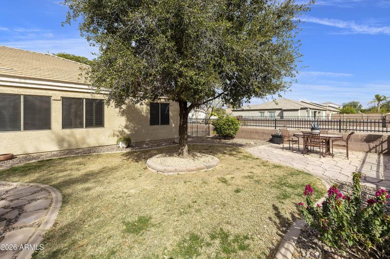 Mature tress w/grass