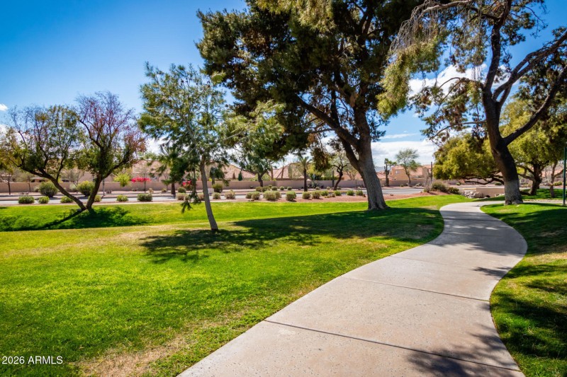 51 - Shannon - Mountain Park