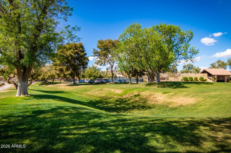 50 - Shannon - Mountain Park