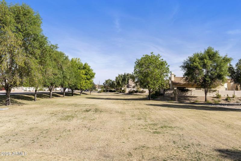 3-web-or-mls-DLB_7617