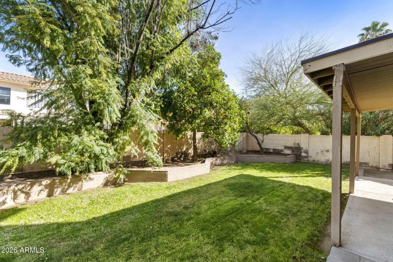 16-web-or-mls-DLB_7631