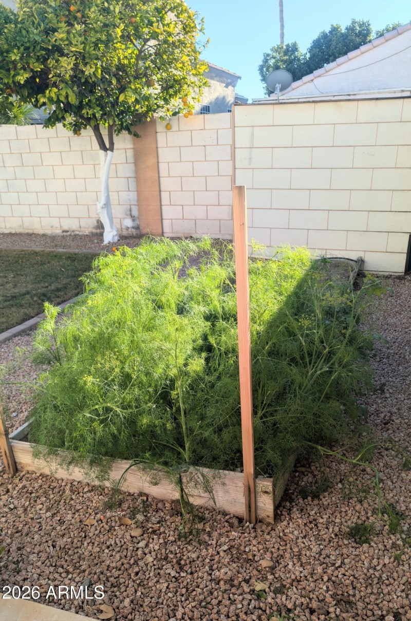 PXL_20260113_225146257_2