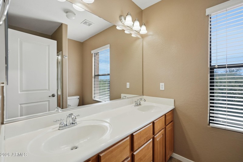 large-019c913a-c9f9-7057-8f39-53af4b87b1