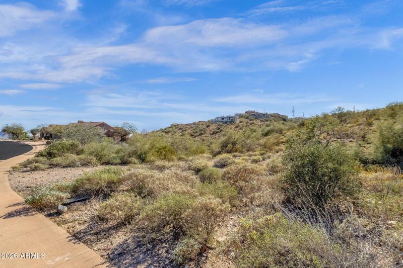002_Lot Side Curb View