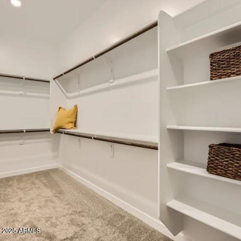 Owners Walk in Closet