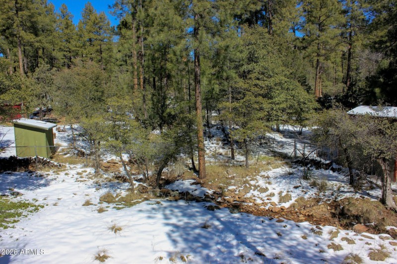 8532 Hicks back yard creek