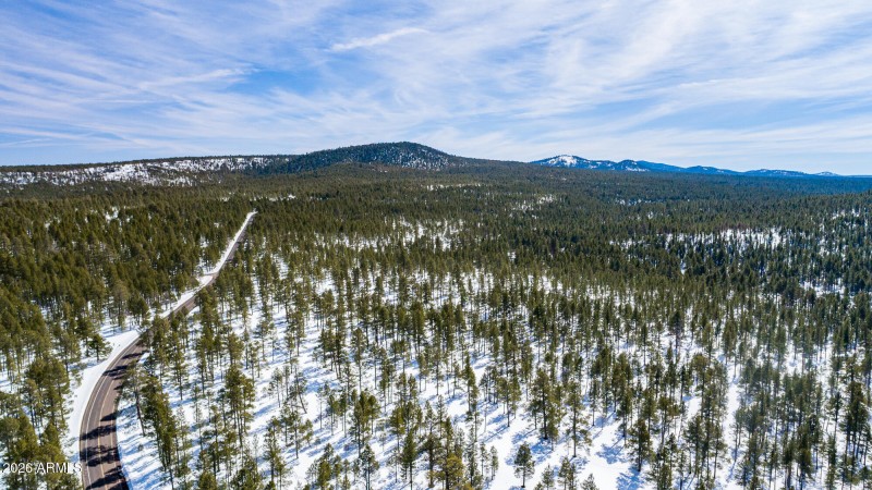 902 Fulton Springs, Mormon Lake (37 of 8