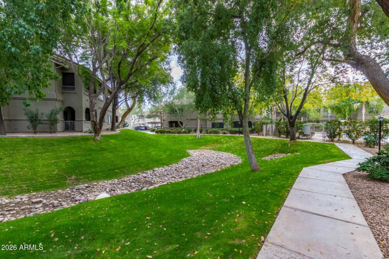 49-Frank Lloyd Weight