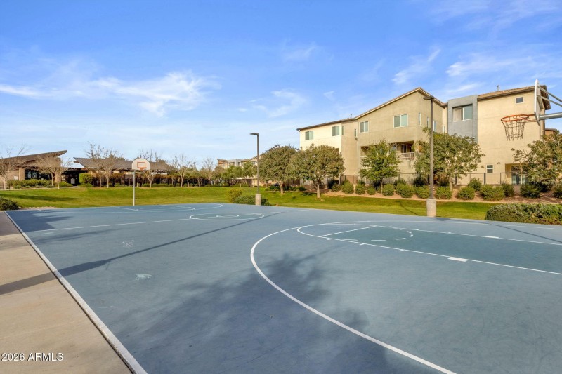 Basketball Court