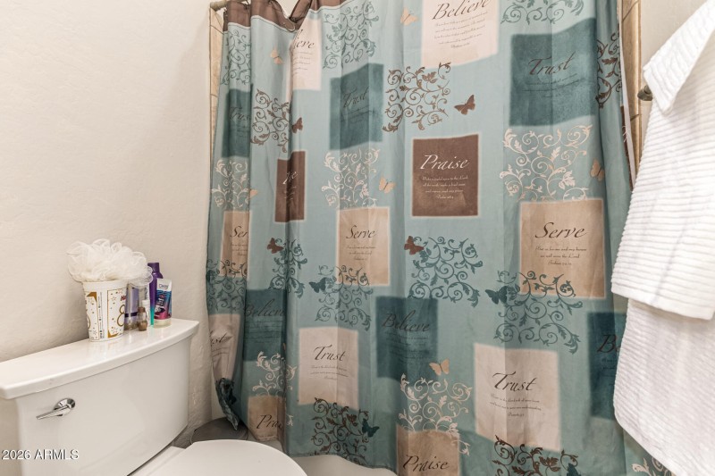 Shower and Tub in guest bathroom